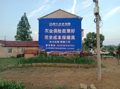 来凤墙体广告的优劣势你知道吗？